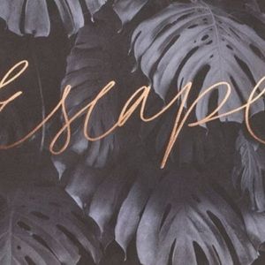 Meet your Posher, Clarissa